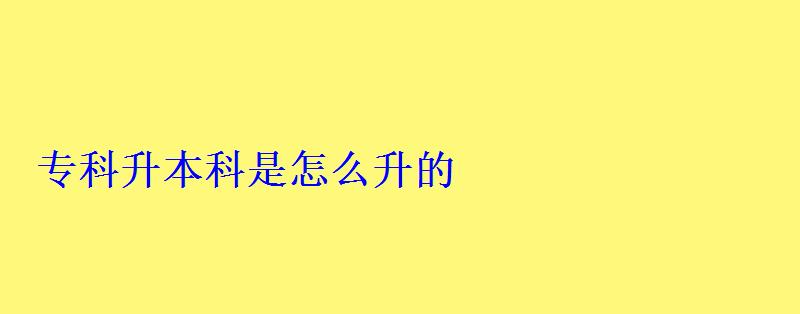 ?？粕究剖窃趺瓷?   style=