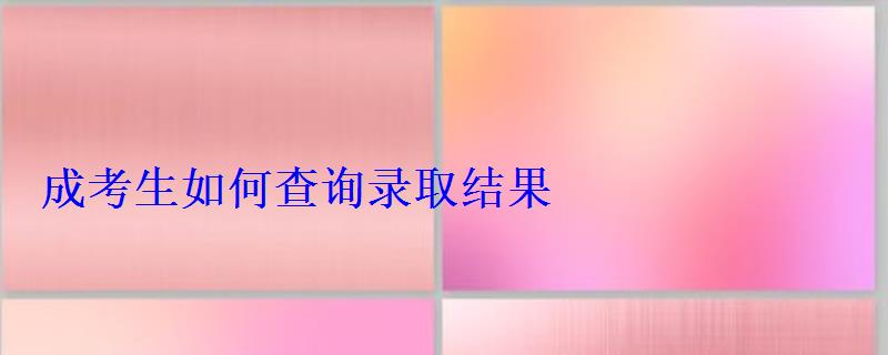成考生如何查詢錄取結果 成考生如何查詢錄取結果