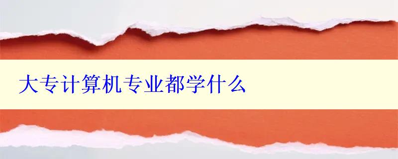 大專計(jì)算機(jī)專業(yè)都學(xué)什么