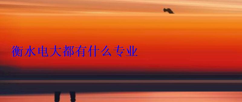 衡水電大都有什么專業
