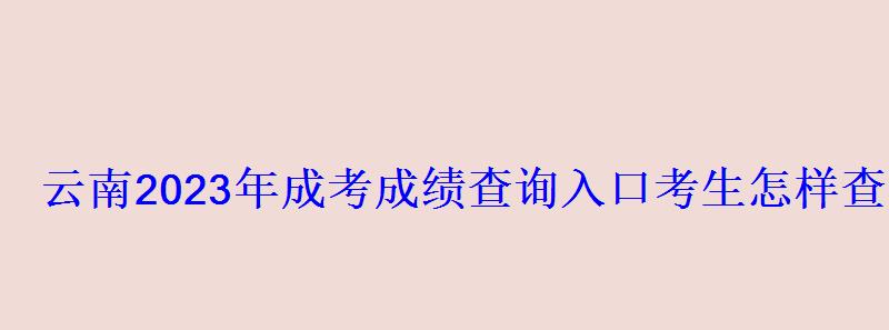 云南2023年成考成績查詢入口考生怎樣查分 云南2023年成考成績查詢入口考生怎樣查分