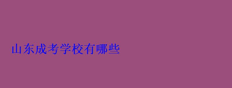 山東成考學校有哪些 山東成考學校有哪些