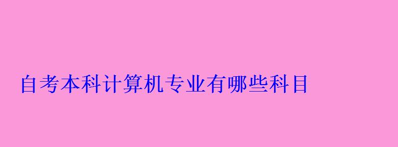 自考本科計算機專業有哪些科目