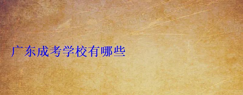 廣東成考學校有哪些