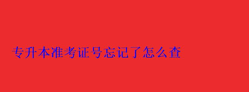 專升本準考證號忘記了怎么查