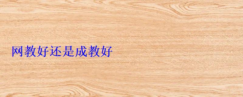 網教好還是成教好