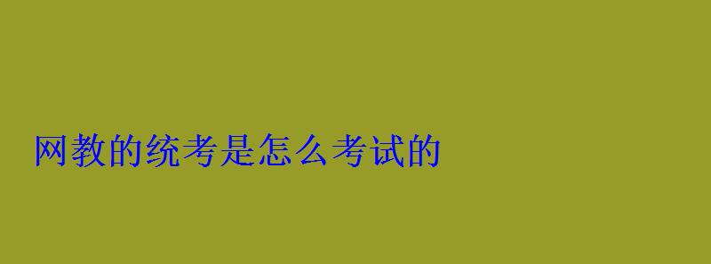 網教的統考是怎么考試的 網教的統考是怎么考試的