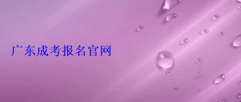 廣東成考報名官網