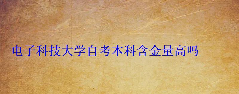 電子科技大學(xué)自考本科含金量高嗎