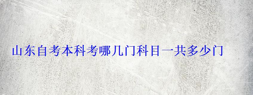 山東自考本科考哪幾門科目一共多少門