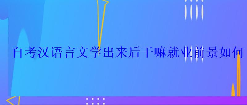 自考漢語(yǔ)言文學(xué)出來(lái)后干嘛就業(yè)前景如何