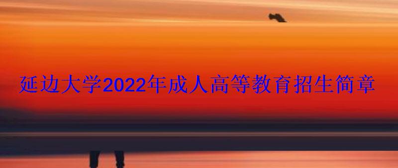 延邊大學2022年成人高等教育招生簡章 延邊大學2022年成人高等教育招生簡章