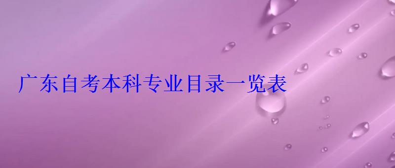 廣東自考本科專業目錄一覽表，廣東自考本科報名官網入口