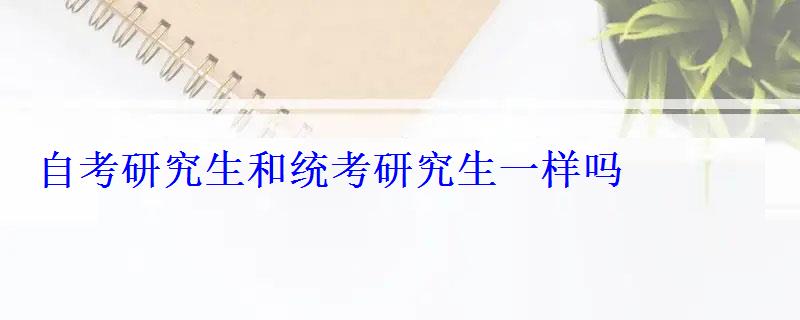 自考研究生和統考研究生一樣嗎
