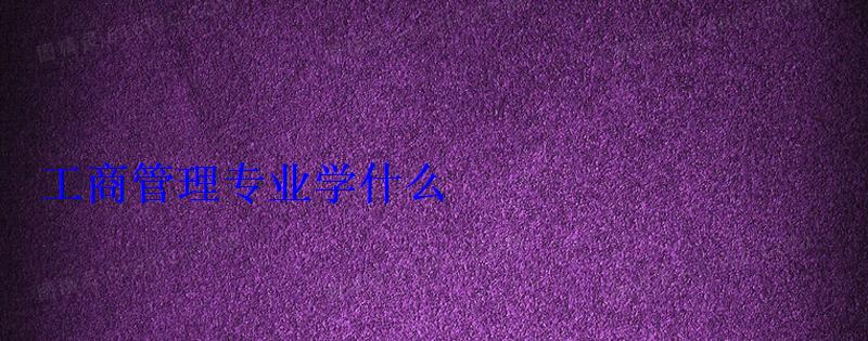 工商管理專業學什么 工商管理專業學什么