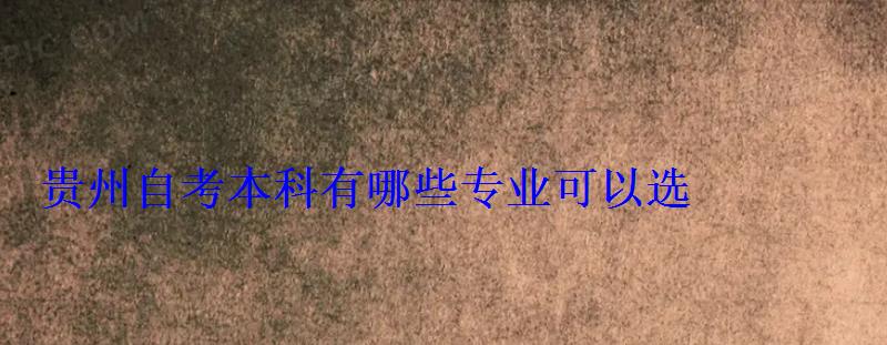 貴州自考本科有哪些專業可以選