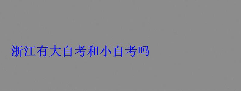 浙江有大自考和小自考嗎
