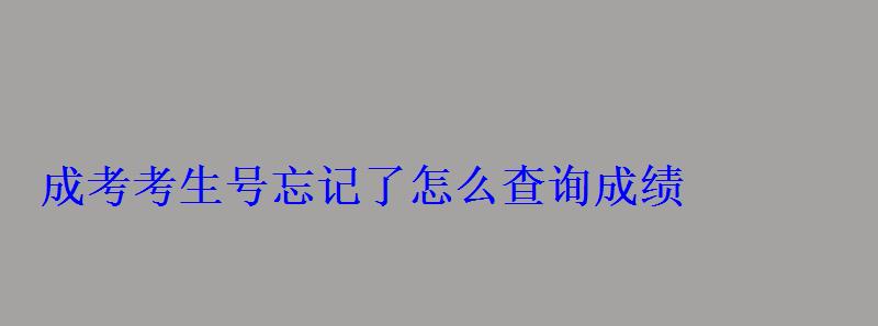怎樣查看成教考生號，成考考生號忘記了怎么查詢成績