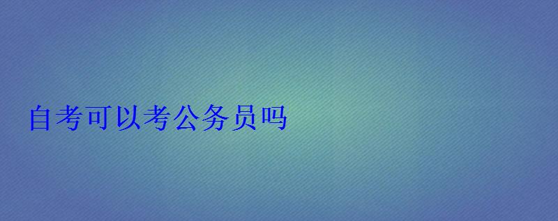 自考可以考公務員嗎