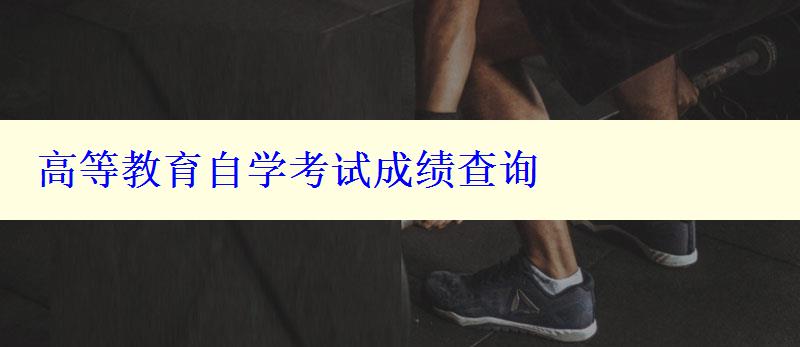高等教育自學(xué)考試成績(jī)查詢