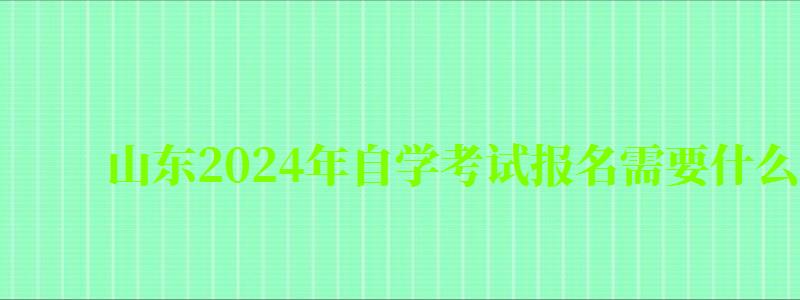 山東2024年自學考試報名需要什么條件與要求 山東2024年自學考試報名需要什么條件與要求