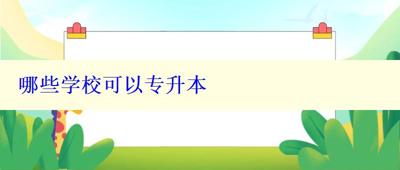 哪些學(xué)校可以專(zhuān)升本