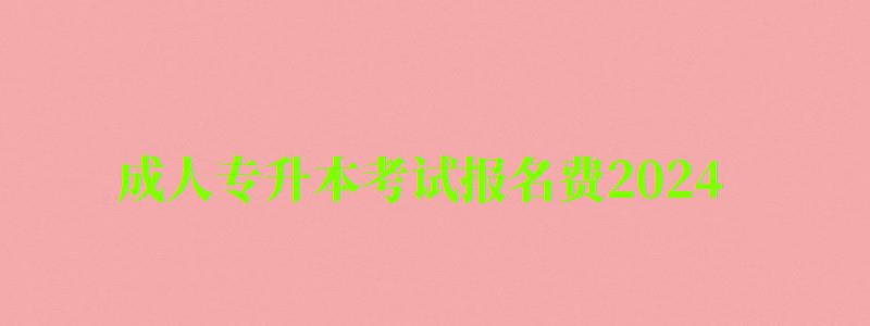 成人專升本考試報名費2024