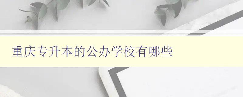重慶專升本的公辦學校有哪些 詳細介紹重慶市公辦專升本院校 重慶專升本的公辦學校有哪些 詳細介紹重慶市公辦專升本院校