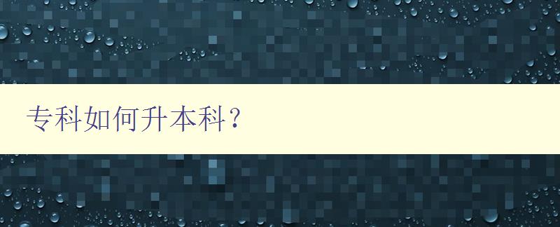 專科如何升本科？ 詳細解析升本科的方法與步驟
