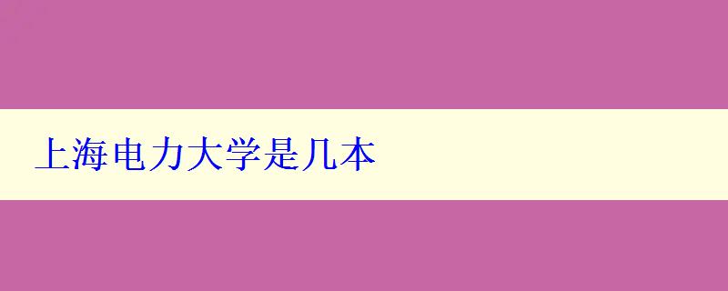 上海電力大學是幾本