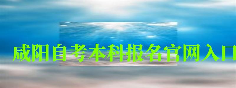 咸陽自考本科報名官網入口 咸陽自考本科報名官網入口 (圖1)
