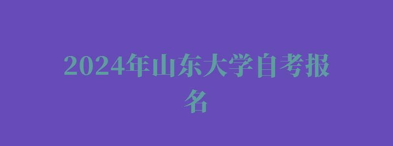 2024年山東大學自考報名