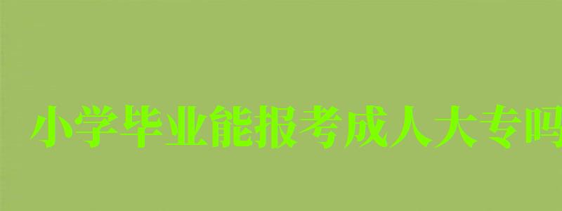 小學(xué)畢業(yè)能報(bào)考成人大專嗎