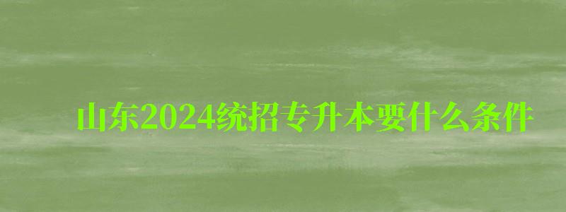 山東2024統(tǒng)招專升本要什么條件