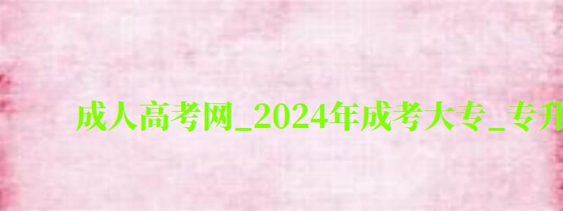 成人高考網(wǎng)_2024年成考大專_專升本報(bào)名招生平臺