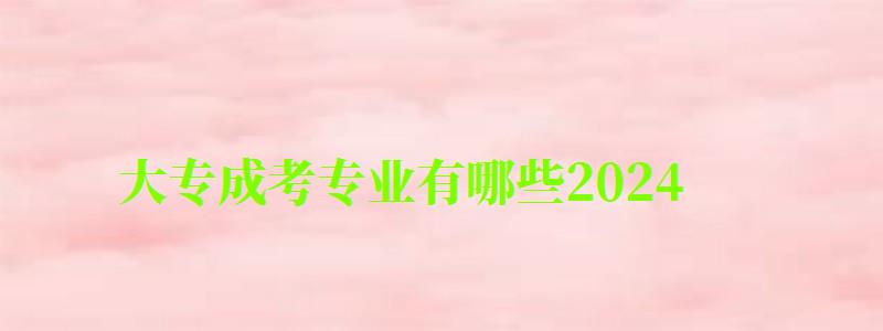 大專成考專業(yè)有哪些2024