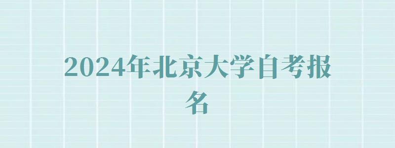2024年北京大學自考報名