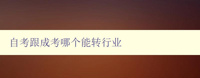 自考跟成考哪個能轉行業 比較自考和成考對于行業轉換的優劣