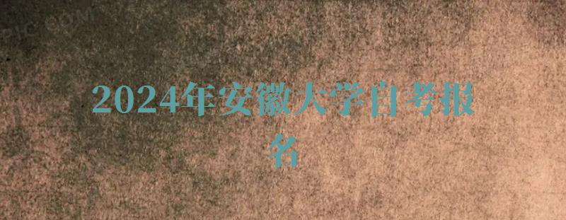 2024年安徽大學自考報名