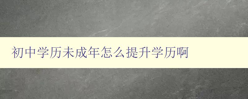 初中學歷未成年怎么提升學歷啊 初中學歷未成年怎么提升學歷啊