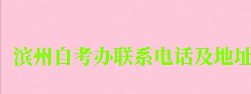 濱州自考辦聯系電話及地址