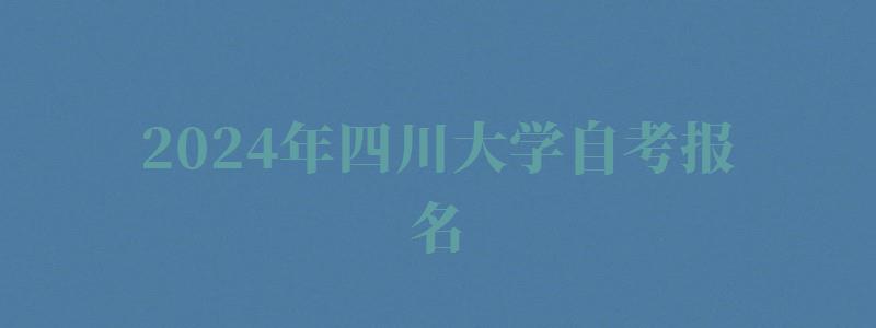 2024年四川大學自考報名