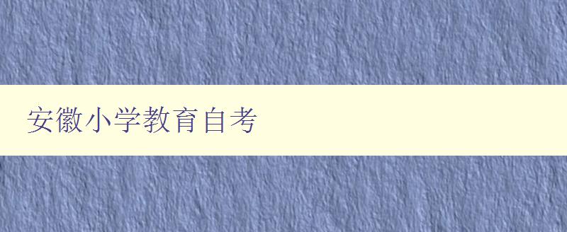 安徽小學教育自考 考點分析與備考建議