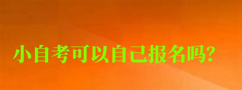 小自考可以自己報(bào)名嗎?