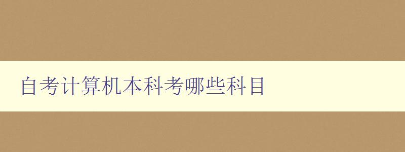 自考計(jì)算機(jī)本科考哪些科目 詳解自考計(jì)算機(jī)本科必修科目 自考計(jì)算機(jī)本科考哪些科目 詳解自考計(jì)算機(jī)本科必修科目