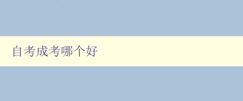 自考成考哪個好 對比自考和成考的優(yōu)缺點，幫你選擇更適合自己的考試方式