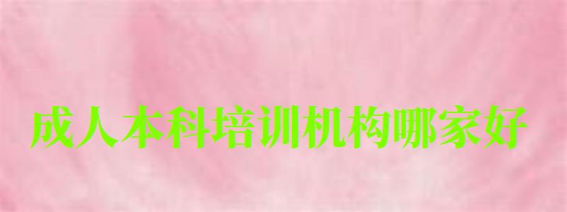 成人本科培訓(xùn)機(jī)構(gòu)哪家好