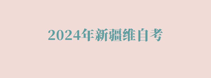 2024年新疆維自考