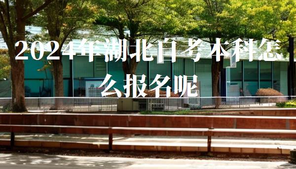 2024年湖北自考本科怎么報(bào)名呢,2024年湖北自考本科報(bào)名時(shí)間