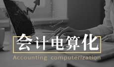 會計學（原會計電算化）本科
